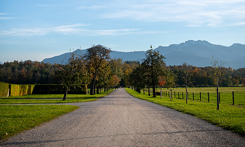 Bild: Kiesweg im Schlosspark