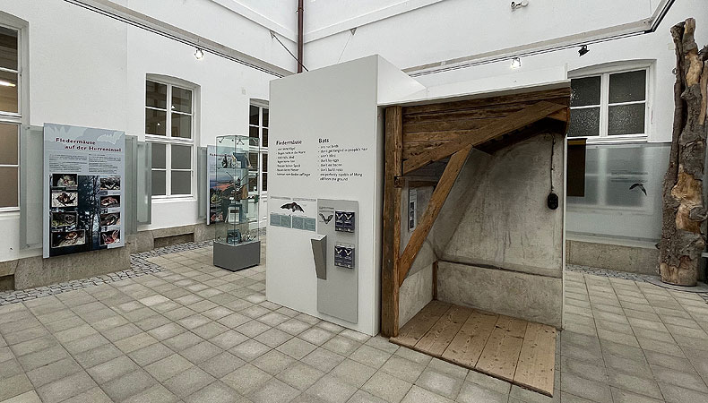 Bild: Fledermaus-Ausstellung im Lichthof des Neuen Schlosses Herrenchiemsee