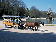 Picture: Carriage rides on Herrenchiemsee Island