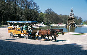 Picture: Carriage on Herrenchiemsee Island