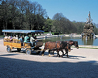 Bild: Kutschenfahrt