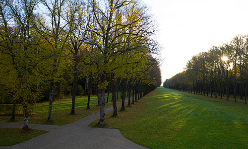 Bild: Allee im Schlosspark